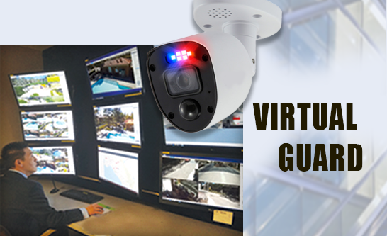Virtual Guard Systems